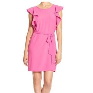 Banana Republic Pink Ruffle Sleeve Dress Sz M